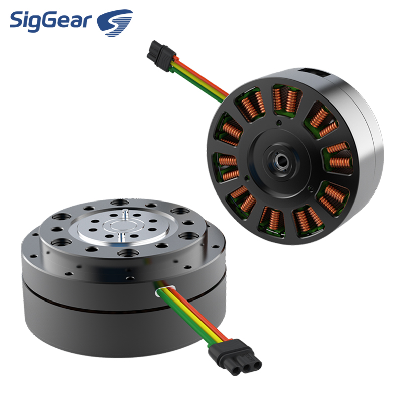 Gorąco sprzedający się mikro s – Cycloidal Reducer Bldc Motor recenzja i cena